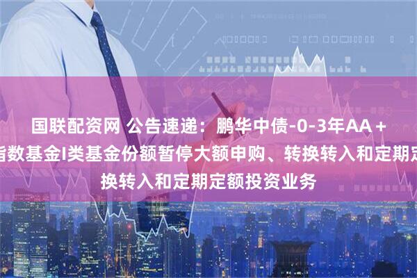 国联配资网 公告速递：鹏华中债-0-3年AA＋优选信用债指数基金I类基金份额暂停大额申购、转换转入和定期定额投资业务