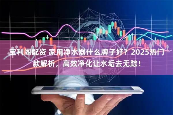 宝利阁配资 家用净水器什么牌子好？2025热门款解析，高效净化让水垢去无踪！
